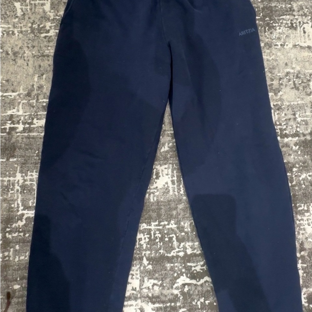 Aritzia Deep Blue Sweatpants Mega Fit